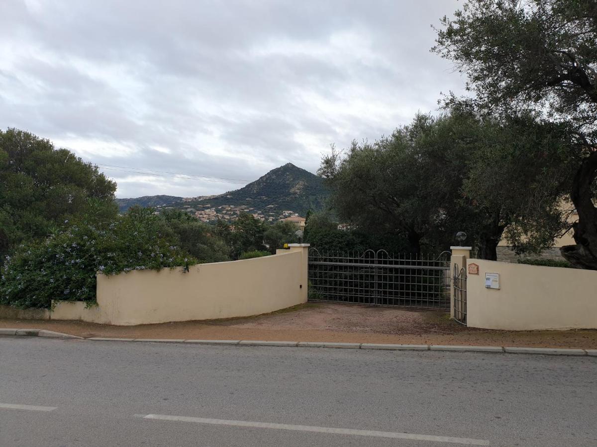 Villa Athena LʼÎle-Rousse Eksteriør billede