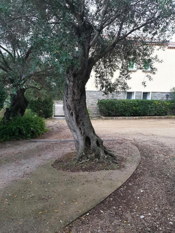 Villa Athena LʼÎle-Rousse Eksteriør billede